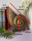 Vintage Brass Nautilus Shell Wine Bucket or Planter