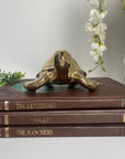 Vintage Brass Large Turtle