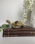 Vintage Brass Large Turtle