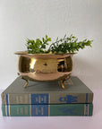 Hosley Hammered Indoor Footed Planter