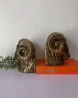 Vintage Mid-Century Brass Ram Bookends
- A Pair